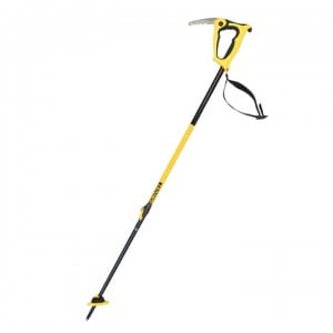 Trekking pole with store ice axe